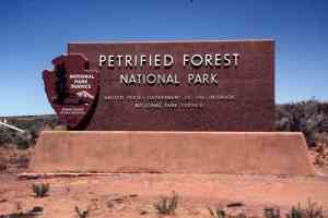 Petrified Forest National Park, Arizona